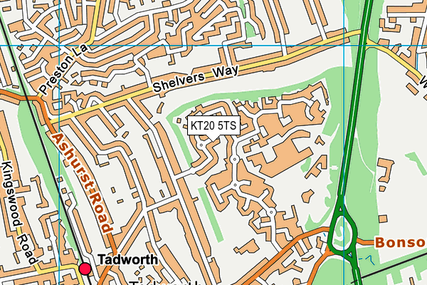 KT20 5TS map - OS VectorMap District (Ordnance Survey)