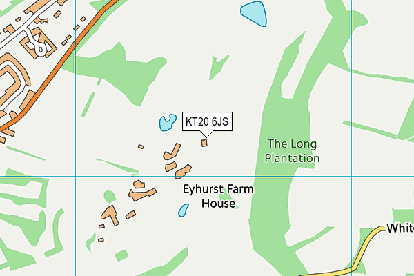 Surrey Downs Golf Club Ltd map (KT20 6JS) - OS VectorMap District (Ordnance Survey)