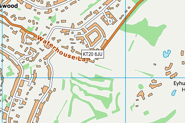 KT20 6JU map - OS VectorMap District (Ordnance Survey)