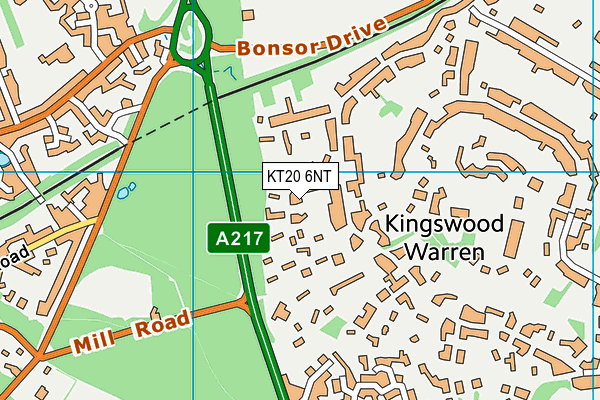 KT20 6NT map - OS VectorMap District (Ordnance Survey)