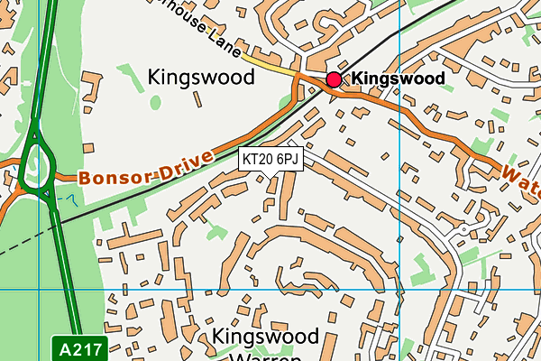 KT20 6PJ map - OS VectorMap District (Ordnance Survey)