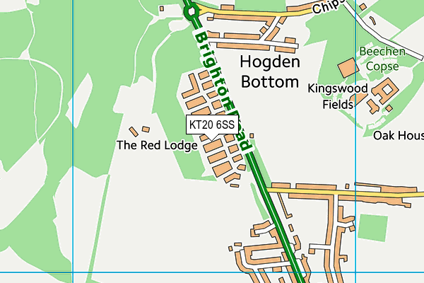 KT20 6SS map - OS VectorMap District (Ordnance Survey)