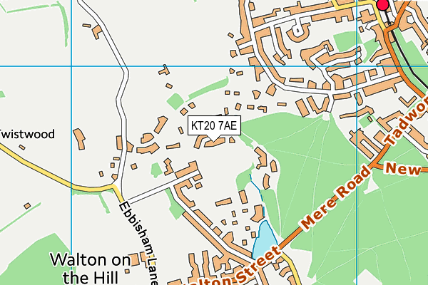 KT20 7AE map - OS VectorMap District (Ordnance Survey)