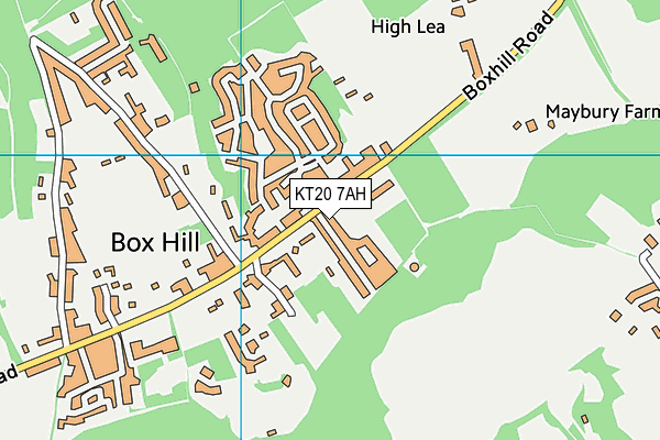 KT20 7AH map - OS VectorMap District (Ordnance Survey)