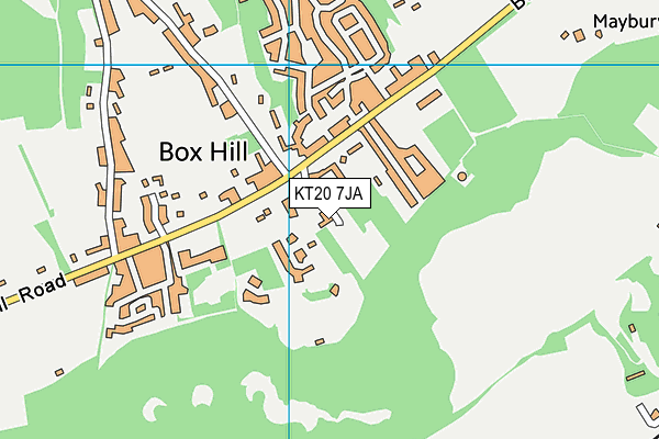 KT20 7JA map - OS VectorMap District (Ordnance Survey)