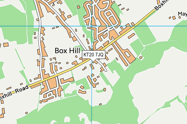 KT20 7JQ map - OS VectorMap District (Ordnance Survey)