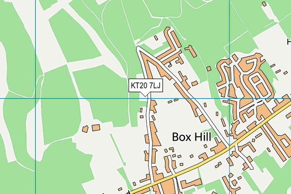 KT20 7LJ map - OS VectorMap District (Ordnance Survey)