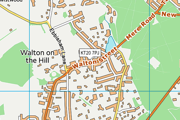 KT20 7PJ map - OS VectorMap District (Ordnance Survey)