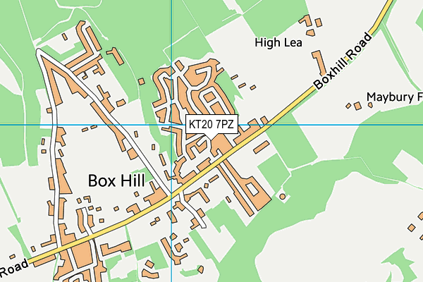 KT20 7PZ map - OS VectorMap District (Ordnance Survey)