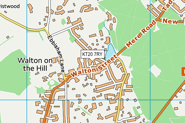 KT20 7RY map - OS VectorMap District (Ordnance Survey)