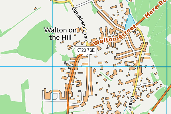 KT20 7SE map - OS VectorMap District (Ordnance Survey)