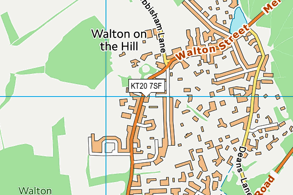KT20 7SF map - OS VectorMap District (Ordnance Survey)