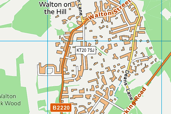 Breech Lane Playing Field map (KT20 7SJ) - OS VectorMap District (Ordnance Survey)