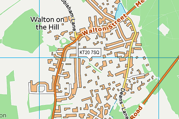 KT20 7SQ map - OS VectorMap District (Ordnance Survey)