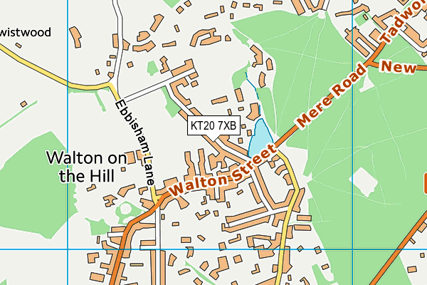 KT20 7XB map - OS VectorMap District (Ordnance Survey)
