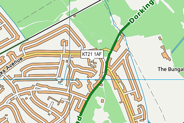 KT21 1AF map - OS VectorMap District (Ordnance Survey)