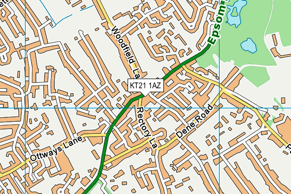 KT21 1AZ map - OS VectorMap District (Ordnance Survey)