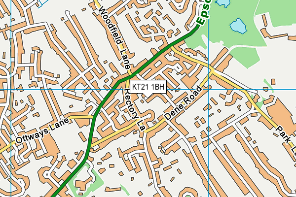KT21 1BH map - OS VectorMap District (Ordnance Survey)