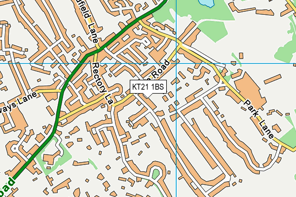 KT21 1BS map - OS VectorMap District (Ordnance Survey)