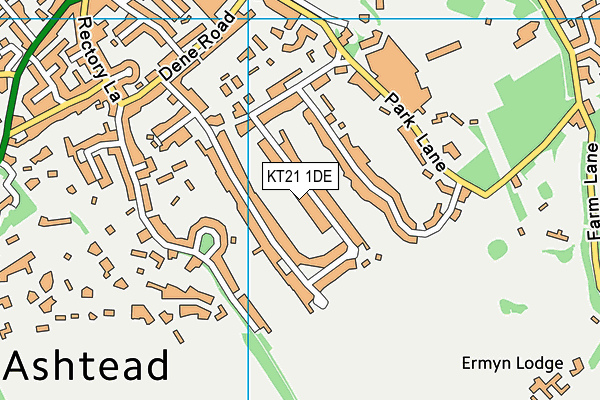 KT21 1DE map - OS VectorMap District (Ordnance Survey)