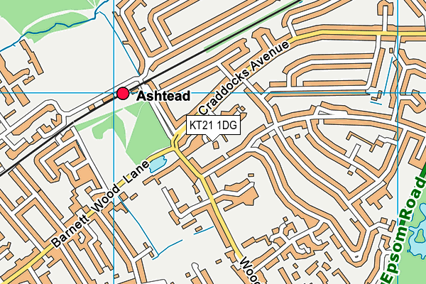 KT21 1DG map - OS VectorMap District (Ordnance Survey)