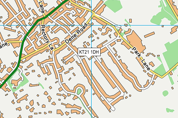 KT21 1DH map - OS VectorMap District (Ordnance Survey)