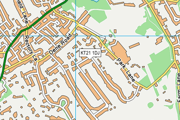 KT21 1DJ map - OS VectorMap District (Ordnance Survey)