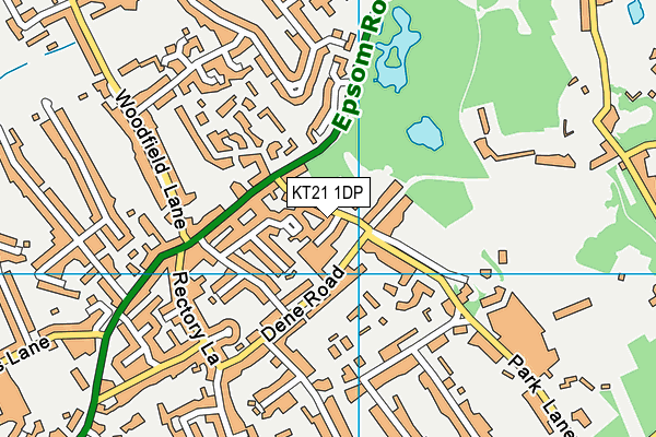 KT21 1DP map - OS VectorMap District (Ordnance Survey)