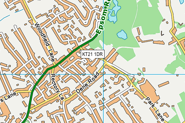 KT21 1DR map - OS VectorMap District (Ordnance Survey)