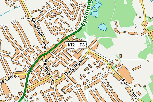 KT21 1DS map - OS VectorMap District (Ordnance Survey)