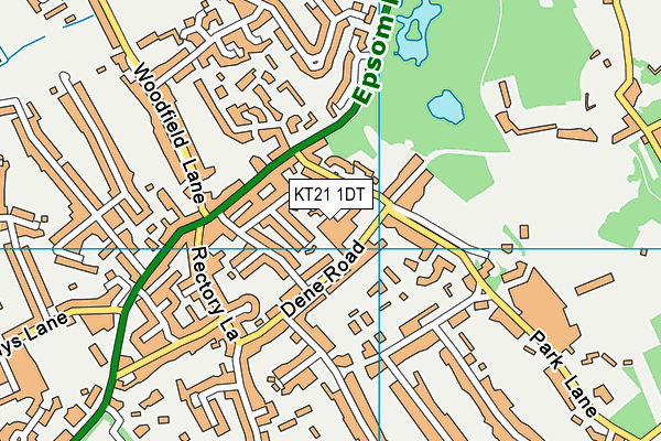 KT21 1DT map - OS VectorMap District (Ordnance Survey)