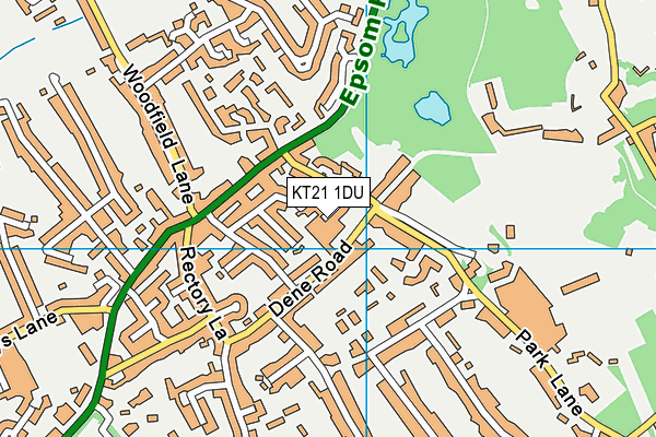 KT21 1DU map - OS VectorMap District (Ordnance Survey)