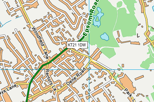 KT21 1DW map - OS VectorMap District (Ordnance Survey)