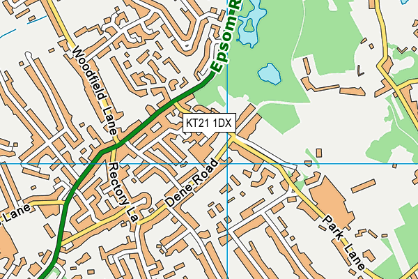 KT21 1DX map - OS VectorMap District (Ordnance Survey)