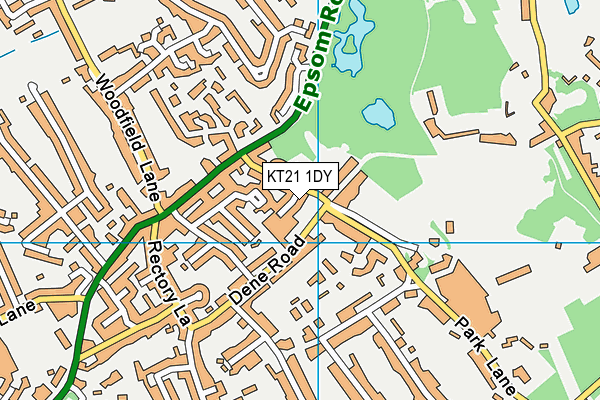 KT21 1DY map - OS VectorMap District (Ordnance Survey)