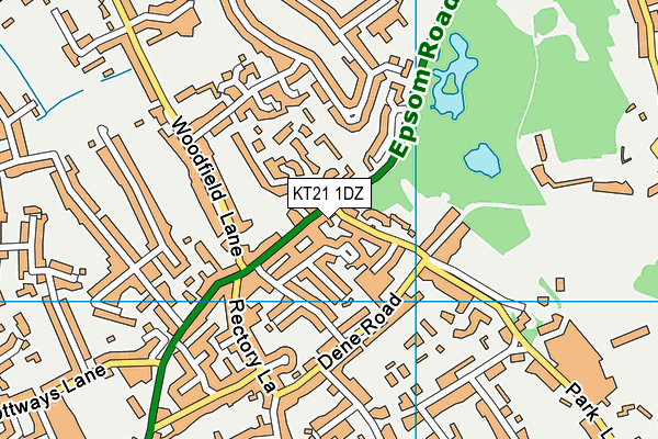 KT21 1DZ map - OS VectorMap District (Ordnance Survey)