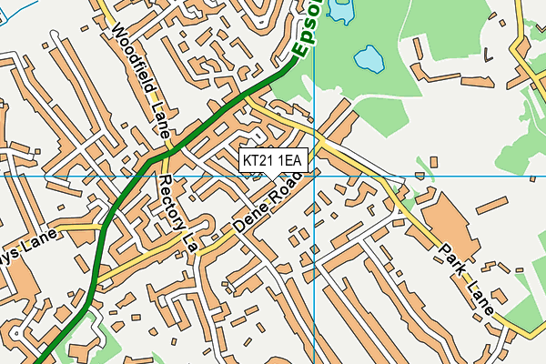 KT21 1EA map - OS VectorMap District (Ordnance Survey)