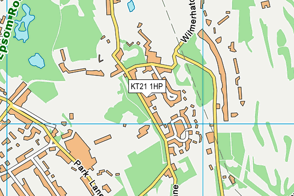 KT21 1HP map - OS VectorMap District (Ordnance Survey)