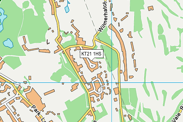 KT21 1HS map - OS VectorMap District (Ordnance Survey)