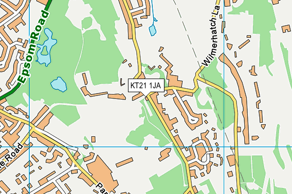 KT21 1JA map - OS VectorMap District (Ordnance Survey)