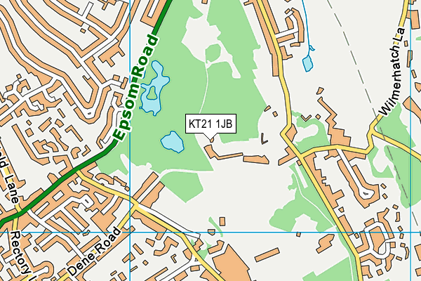 KT21 1JB map - OS VectorMap District (Ordnance Survey)