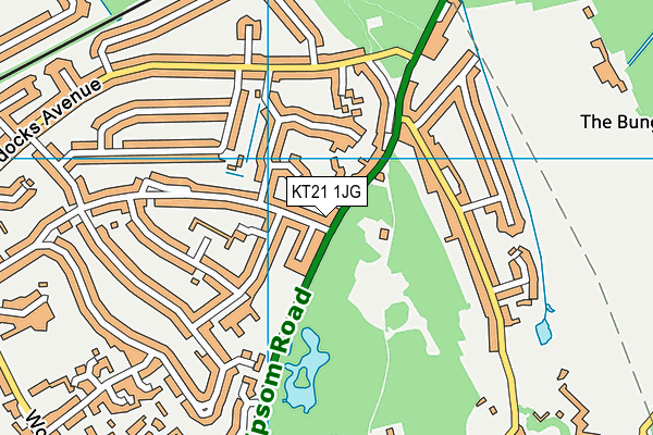 KT21 1JG map - OS VectorMap District (Ordnance Survey)