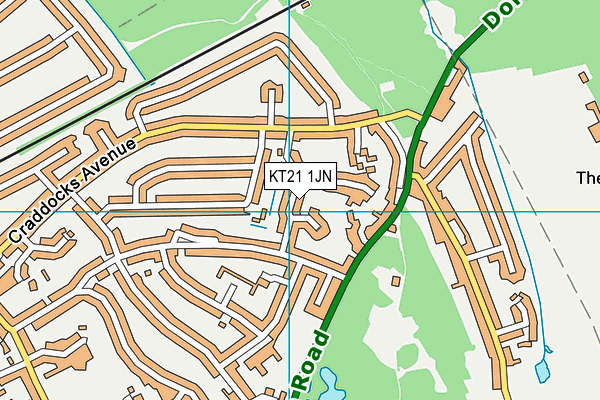 KT21 1JN map - OS VectorMap District (Ordnance Survey)