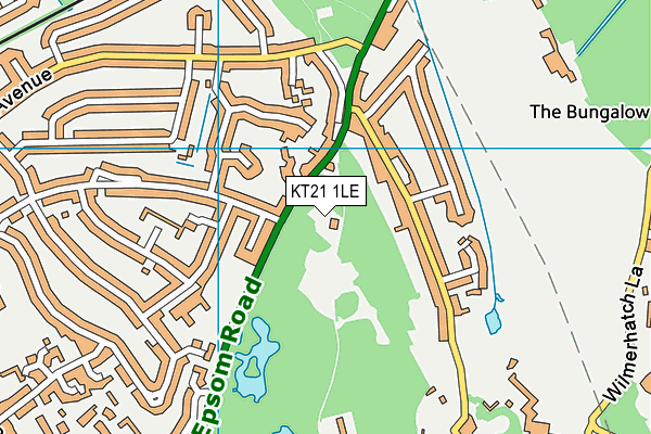 KT21 1LE map - OS VectorMap District (Ordnance Survey)