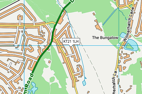KT21 1LH map - OS VectorMap District (Ordnance Survey)