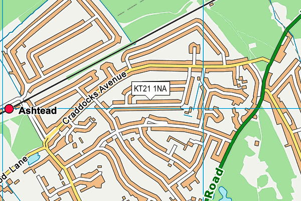 KT21 1NA map - OS VectorMap District (Ordnance Survey)