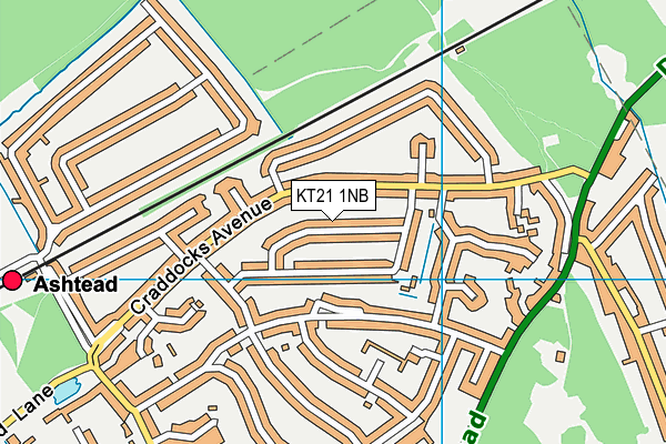 KT21 1NB map - OS VectorMap District (Ordnance Survey)