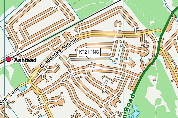 KT21 1NG map - OS VectorMap District (Ordnance Survey)