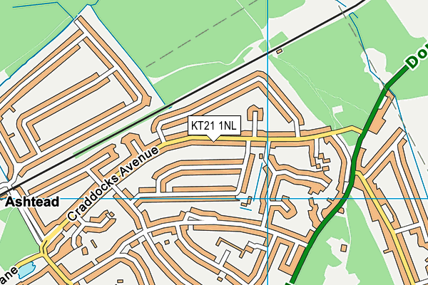 KT21 1NL map - OS VectorMap District (Ordnance Survey)