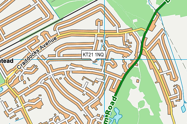 KT21 1NQ map - OS VectorMap District (Ordnance Survey)